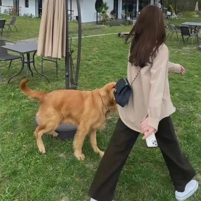 虚虚假假