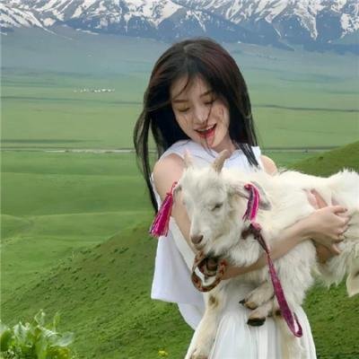口碑片库
